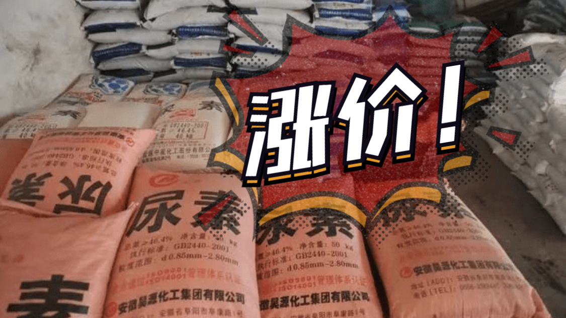 一噸再漲100元，將突破2800元！已經(jīng)連續(xù)暴漲近400元！多地價(jià)格再創(chuàng)新高！9月14日（附最新報(bào)價(jià)）！