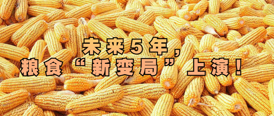 未來5年，糧食“新變局”上演！