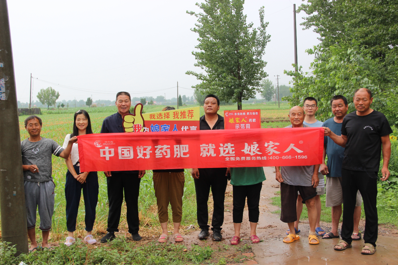 娘家人玉米藥肥，使用效果實(shí)地回訪