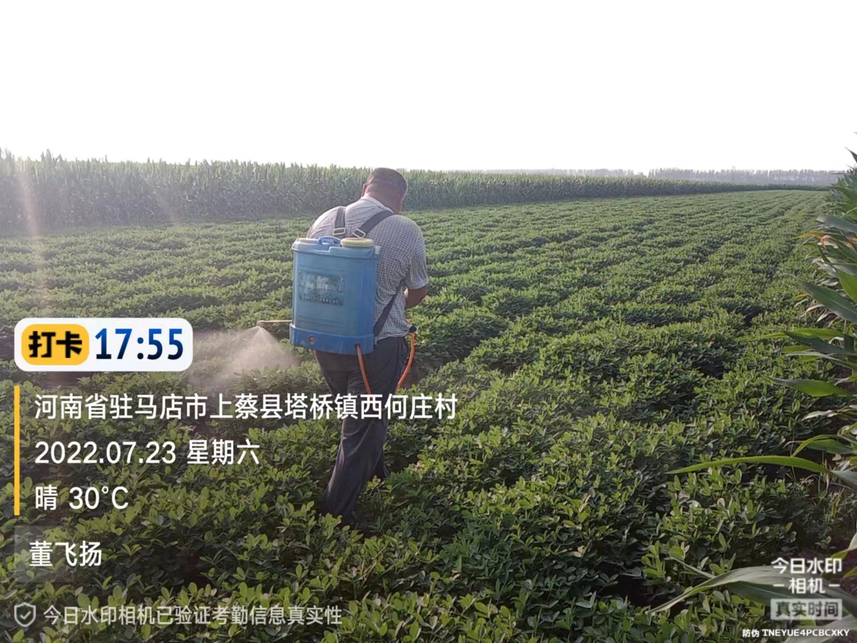 防治夜蛾，“它們”的拿手好戲