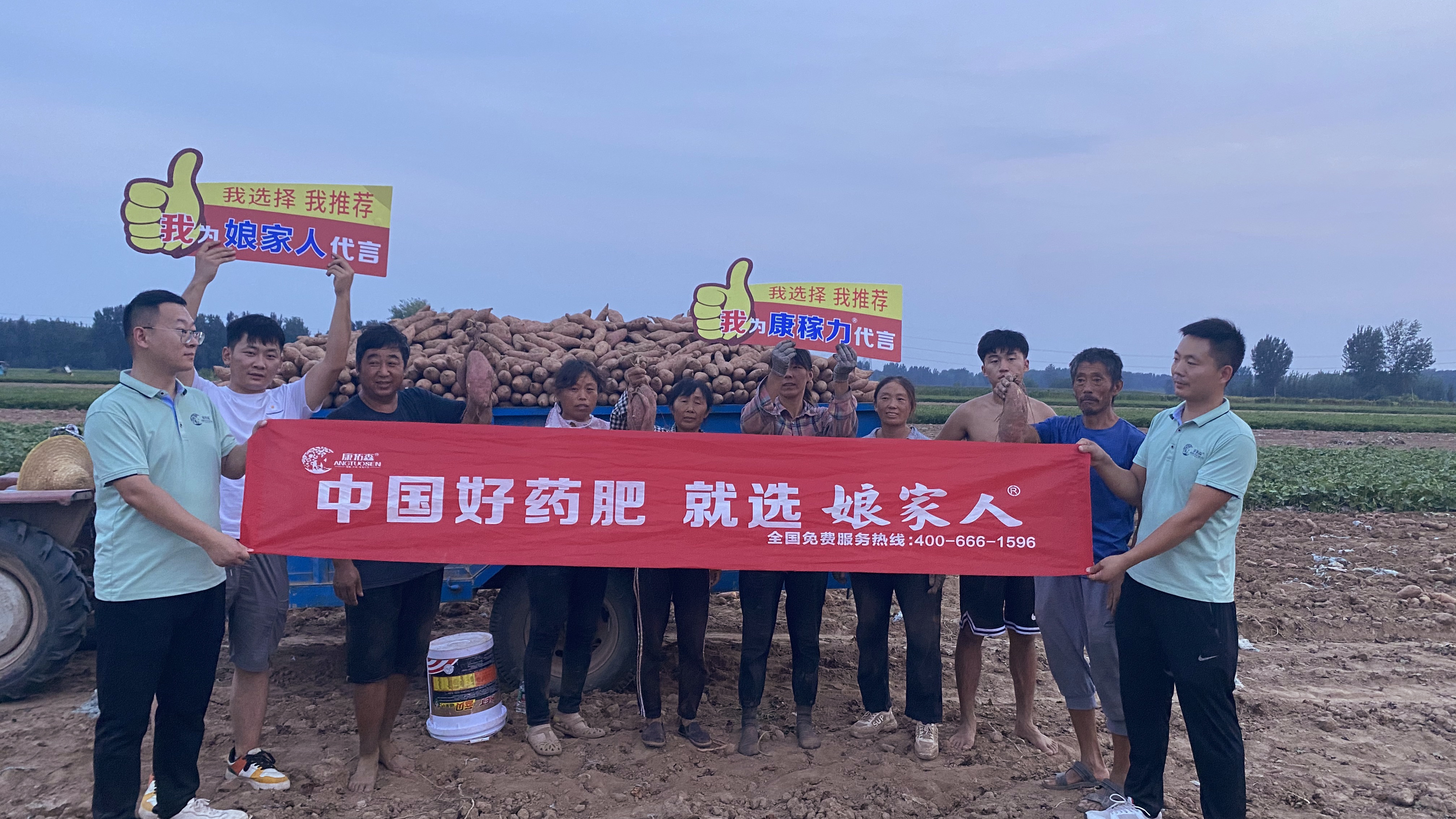 想要紅薯沒(méi)病害沒(méi)蟲(chóng)咬？向他學(xué)習(xí)！